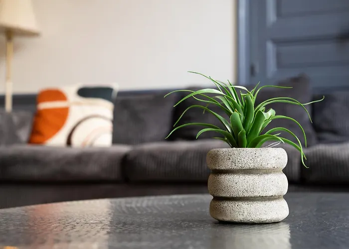 Appartement Le Bobo Remois - Center - Cathedral Reims